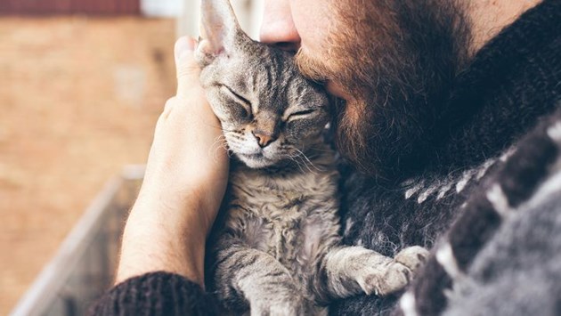 owner embracing cat