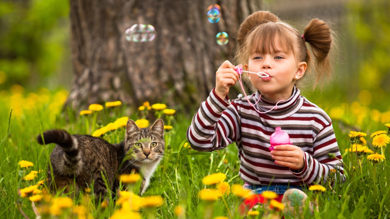 Socialising children and cats | Pet Advice | Medivet