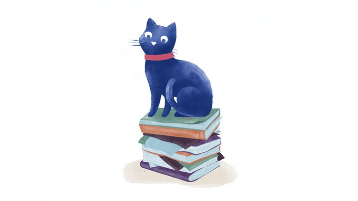 Cat on books