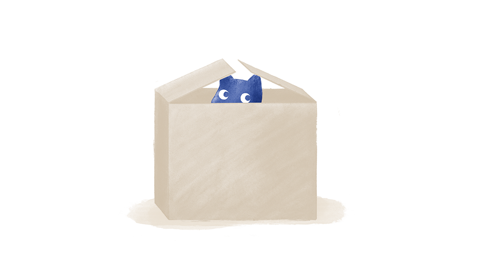 Molly in Box_RGB.png