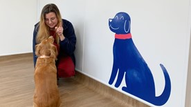 Vet meets dog in reception